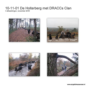 Vierde en laatste dag Zwemkolk, wandeling Holterberg met de DRACC's Clan